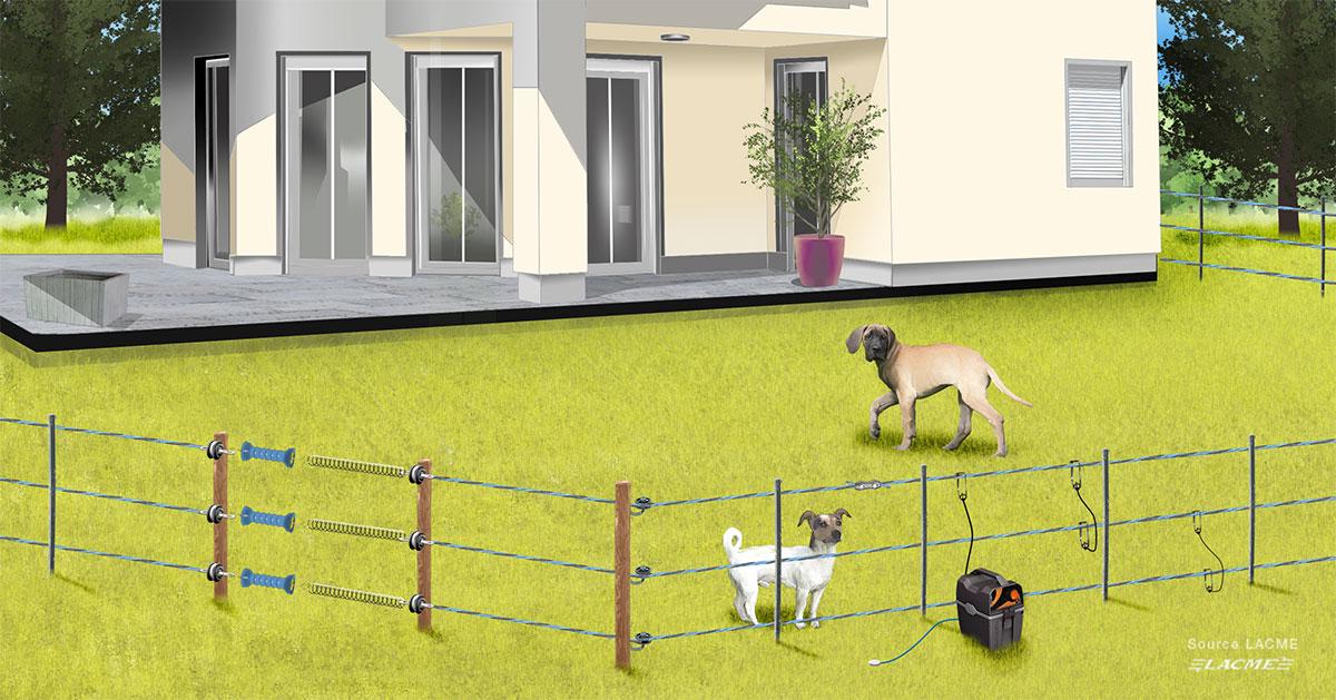 Comment installer une cloture électrique pour chien ? Montserrat reporter